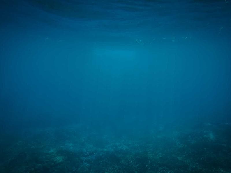 Daire Boyası 100 m² — Plastik Boya Dahil — Sıfır Ayarında