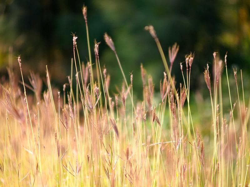 YKS Hazırlık Bireysel Paket — Faturalı