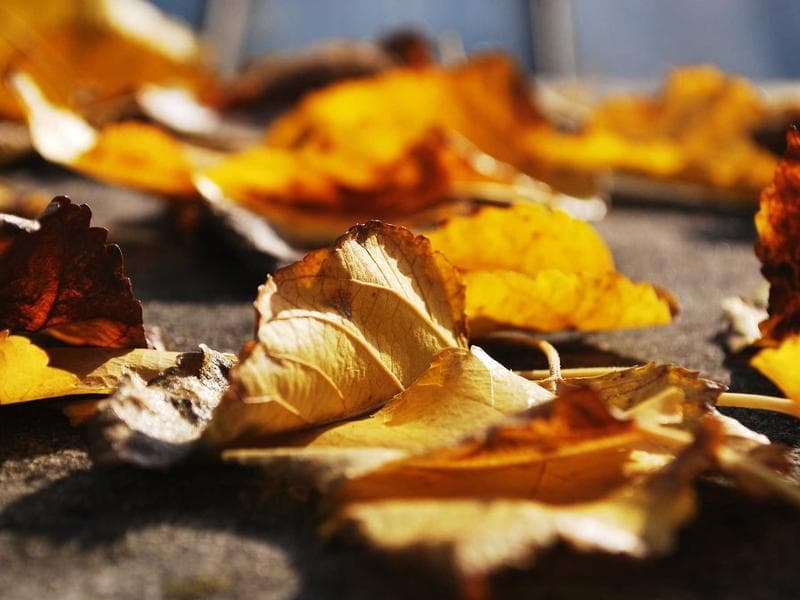 New Holland TD5.95 — 95HP