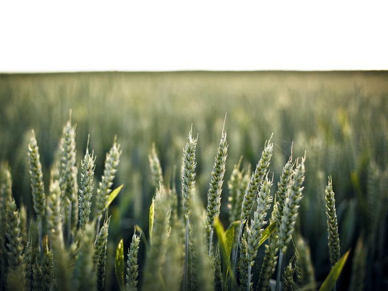 Bargueno Klasik Yazı Masası — Restore Edilmiş — Faturalı